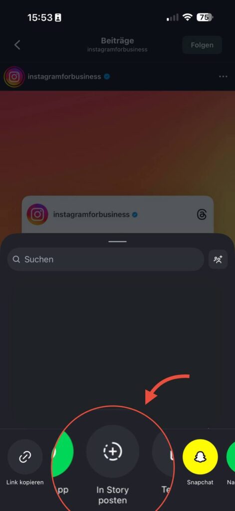 In story posten