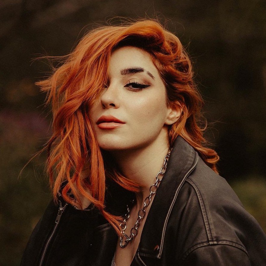 Quanti follower ha Anni The Duck su Instagram?